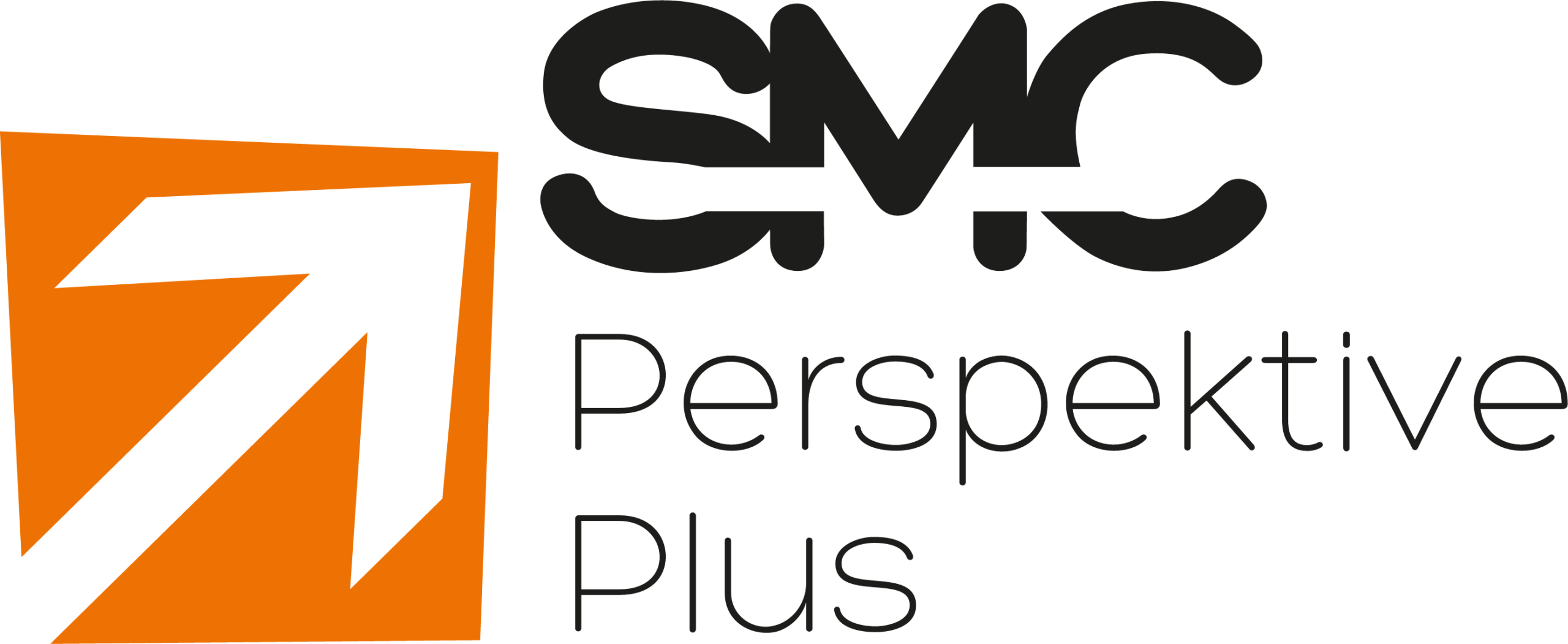 Success Management Consulting GmbH - Perspektive Plus